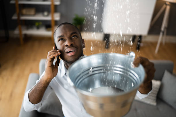Best 24-hour water damage restoration  in Montverde, FL