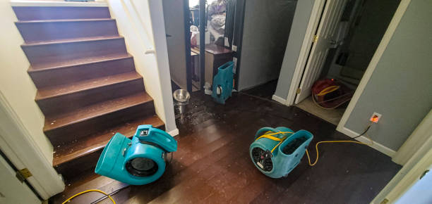 Best Flood damage cleanup  in Montverde, FL