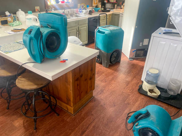 Best Residential water damage restoration  in Montverde, FL