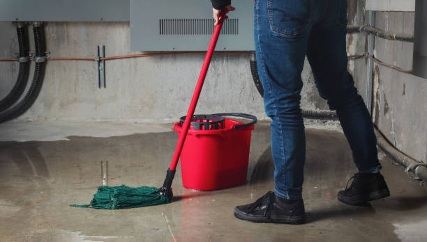 Best Carpet water damage restoration  in Montverde, FL