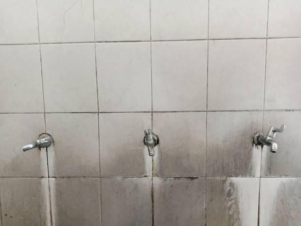 Best Water damage restoration insurance claims  in Montverde, FL