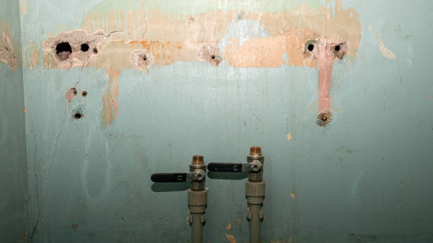Best Local water damage restoration  in Montverde, FL