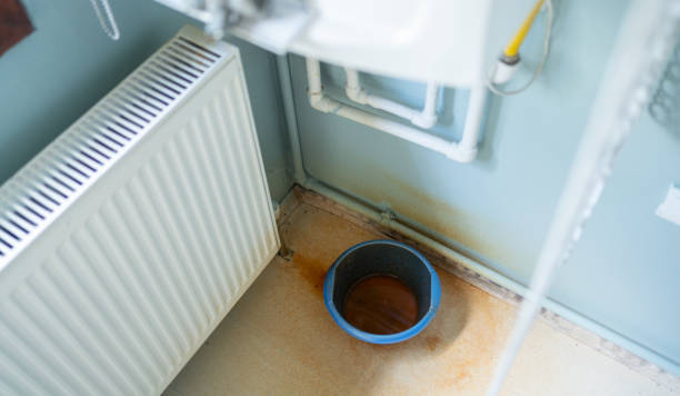 Best Water damage contractors near me  in Montverde, FL
