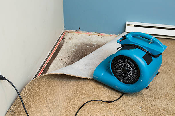 Best 24/7 water damage repair  in Montverde, FL
